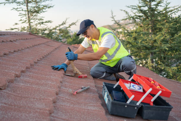 Best Roof Gutter Cleaning  in Weston, FL